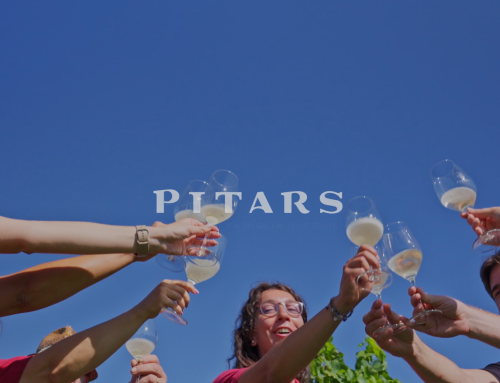 Vendemmia 2026 da Pitars: un racconto dietro le quinte